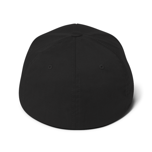 ThePhlexican Productions - Black Structured Twill Cap